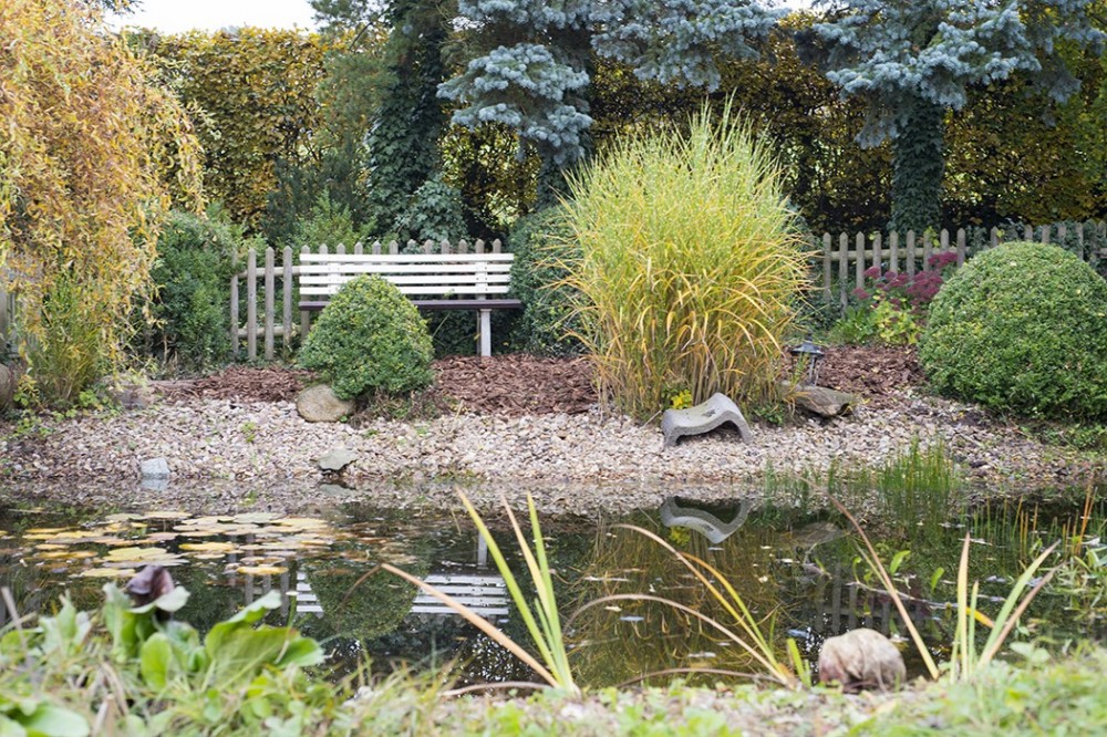 Teichanlage und Gartengestaltung in Vlotho Naturnah gestalteter Gartenteich mit Gräsern, Gehölzen, Kiesflächen und Sitzbank