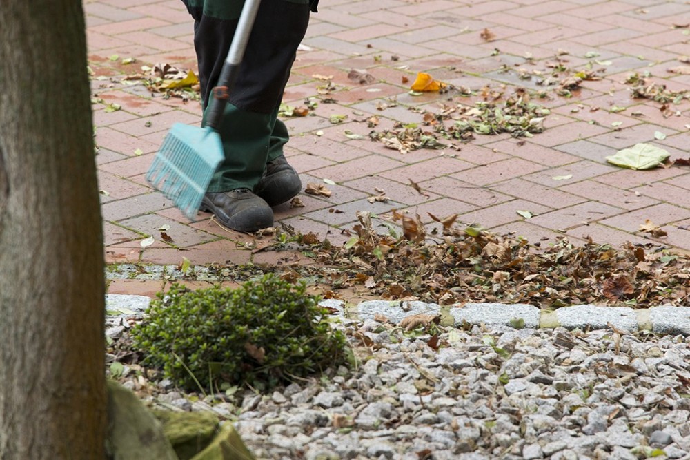 Professionelle Gartenpflege in Vlotho Mitarbeiter bei Pflegearbeiten auf einem gepflasterten Gartenweg