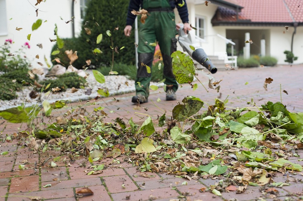 Gartenpflege und Laubbeseitigung in Vlotho Mitarbeiter bei der Gartenpflege mit Laubbläser auf einer gepflasterten Außenfläche